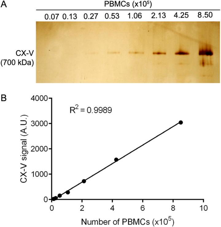 https://cdn.ncbi.nlm.nih.gov/pmc/blobs/415f/12061129/8df2d89025fe/pone.0323136.g004.jpg