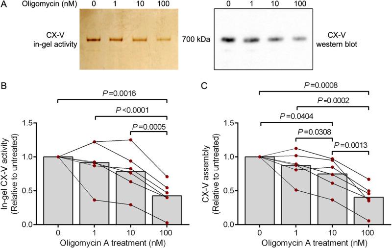 https://cdn.ncbi.nlm.nih.gov/pmc/blobs/415f/12061129/93296d1bfbd3/pone.0323136.g005.jpg