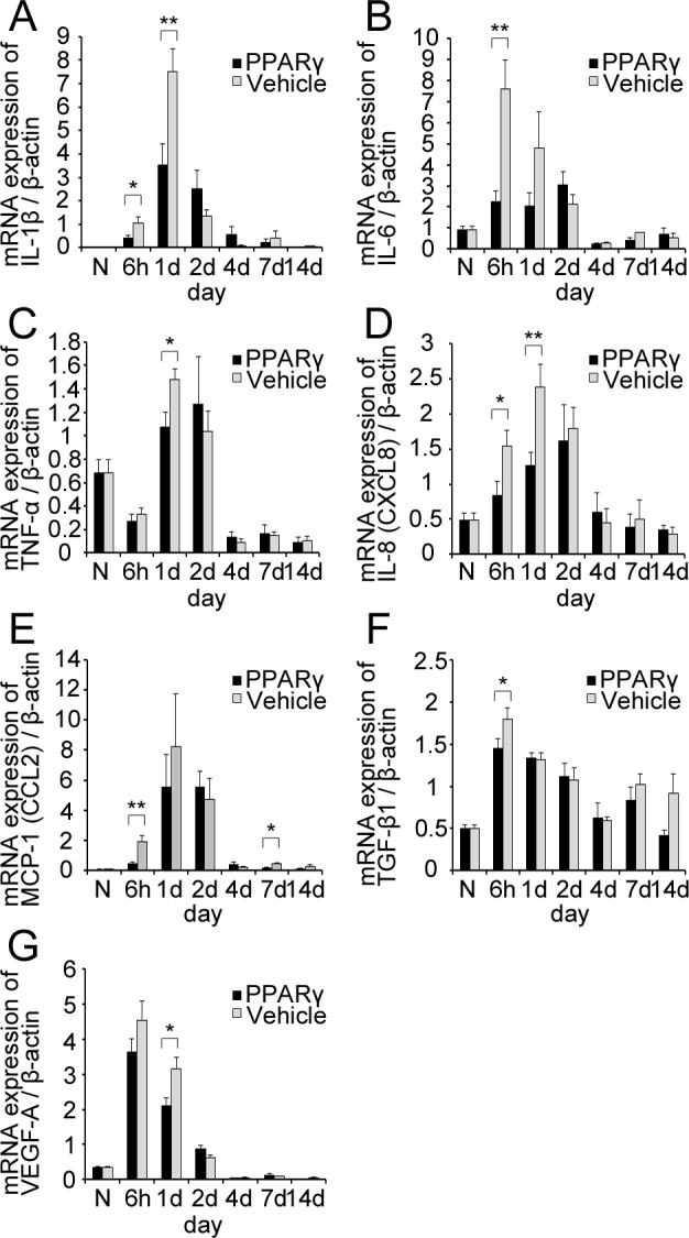 https://cdn.ncbi.nlm.nih.gov/pmc/blobs/4160/3816991/363fb4d5d65e/mv-v19-2135-f8.jpg