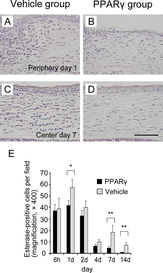 https://cdn.ncbi.nlm.nih.gov/pmc/blobs/4160/3816991/3d622385f520/mv-v19-2135-f3.jpg