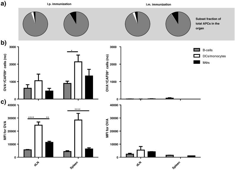 https://cdn.ncbi.nlm.nih.gov/pmc/blobs/4161/5041310/c9713a2a393c/gr3.jpg