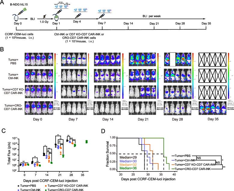 https://cdn.ncbi.nlm.nih.gov/pmc/blobs/4162/12090657/267d58c2bab0/13045_2025_1712_Fig6_HTML.jpg
