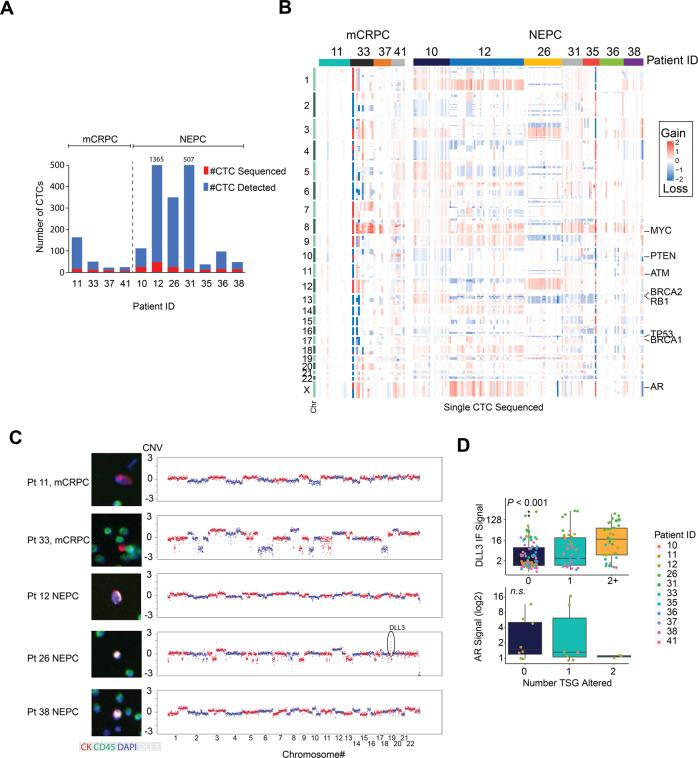 https://cdn.ncbi.nlm.nih.gov/pmc/blobs/4163/8361159/7e6f8cb96572/41698_2021_211_Fig3_HTML.jpg