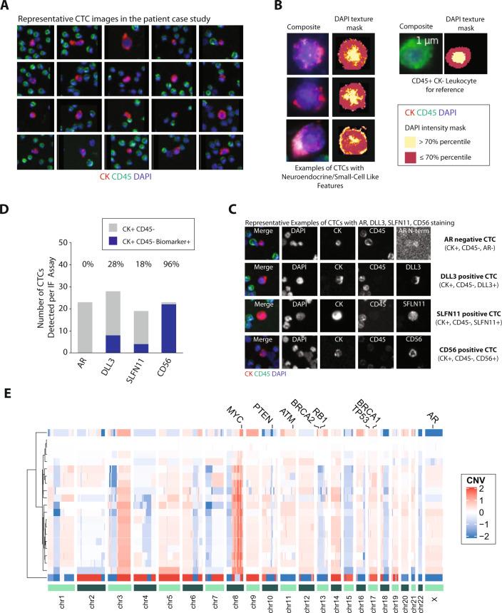 https://cdn.ncbi.nlm.nih.gov/pmc/blobs/4163/8361159/e12e969b18bb/41698_2021_211_Fig2_HTML.jpg