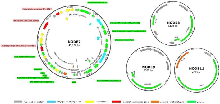 https://cdn.ncbi.nlm.nih.gov/pmc/blobs/4166/5671560/0f13a67e9d2b/fmicb-08-02105-g0002.jpg