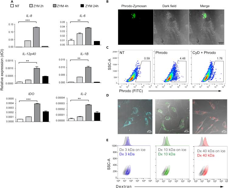 https://cdn.ncbi.nlm.nih.gov/pmc/blobs/4166/8233198/80981bd38cda/gr1.jpg