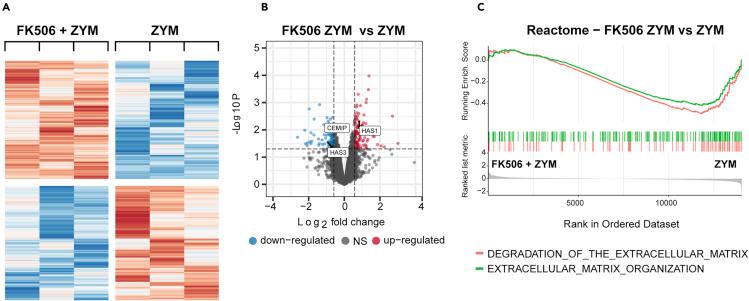 https://cdn.ncbi.nlm.nih.gov/pmc/blobs/4166/8233198/aee39ad2326d/gr4.jpg