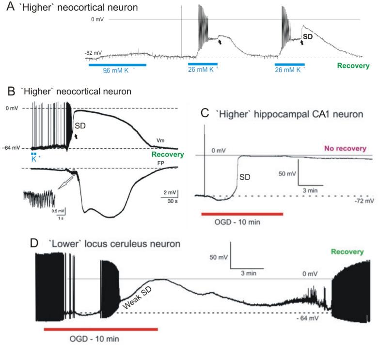 https://cdn.ncbi.nlm.nih.gov/pmc/blobs/4167/9259543/53a0ff0eb595/12028_2021_1431_Fig1_HTML.jpg