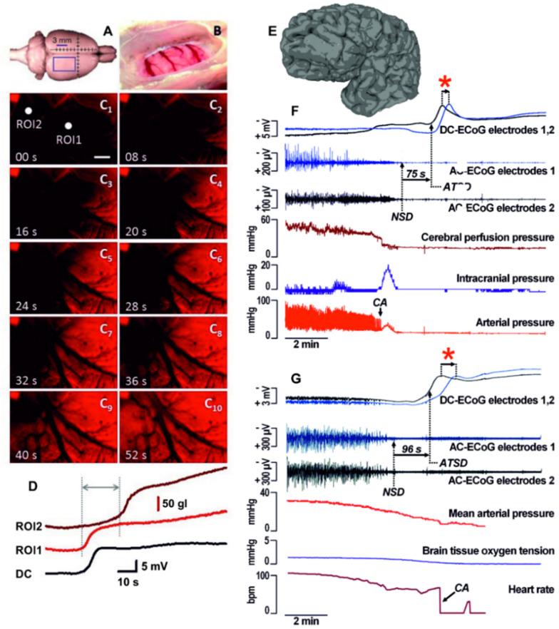 https://cdn.ncbi.nlm.nih.gov/pmc/blobs/4167/9259543/bf078196a558/12028_2021_1431_Fig2_HTML.jpg