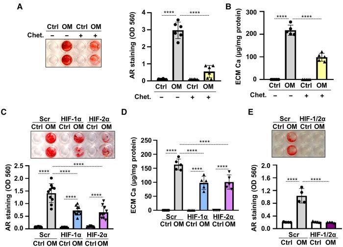 https://cdn.ncbi.nlm.nih.gov/pmc/blobs/4169/10272757/68131ff7f8e9/fcvm-10-1168339-g005.jpg