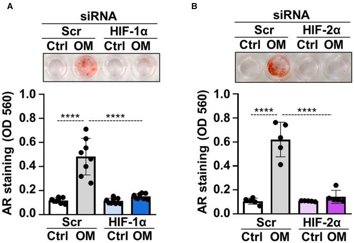 https://cdn.ncbi.nlm.nih.gov/pmc/blobs/4169/10272757/8aa8d1fef01f/fcvm-10-1168339-g003.jpg