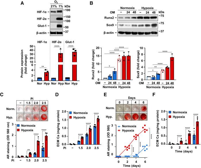 https://cdn.ncbi.nlm.nih.gov/pmc/blobs/4169/10272757/9eff01e4d050/fcvm-10-1168339-g004.jpg