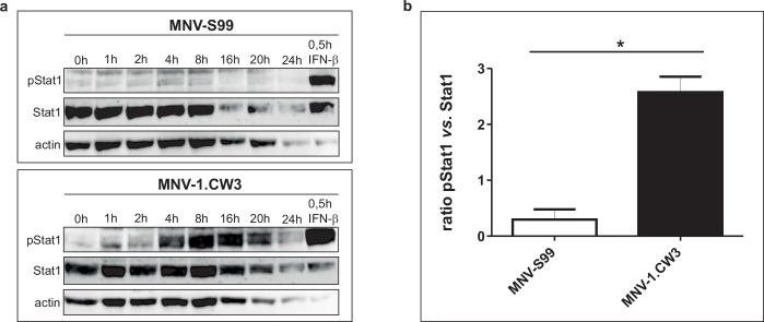 https://cdn.ncbi.nlm.nih.gov/pmc/blobs/416b/4905638/ae0ef608bdb7/pone.0156898.g004.jpg