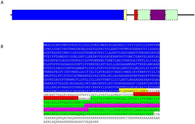 https://cdn.ncbi.nlm.nih.gov/pmc/blobs/416c/2924389/2f193d5e6d4b/pone.0012282.g001.jpg