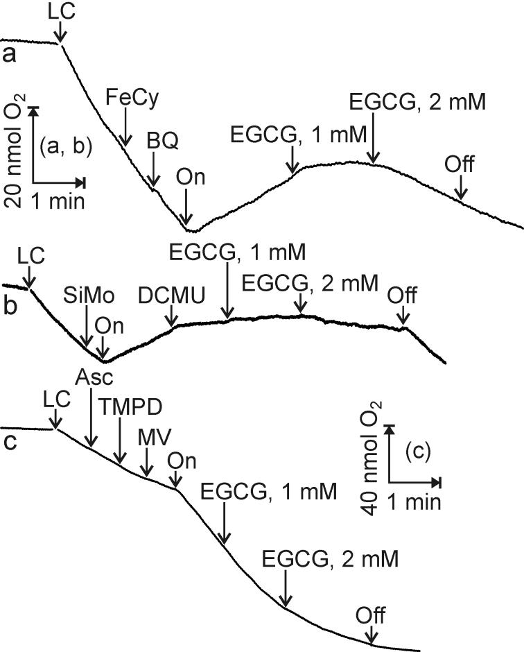 https://cdn.ncbi.nlm.nih.gov/pmc/blobs/416d/10000359/1a36d32e0d42/10541_2023_2451_Fig6_HTML.jpg