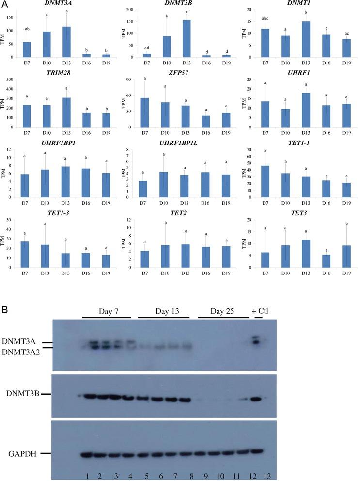 https://cdn.ncbi.nlm.nih.gov/pmc/blobs/416f/4363183/5dbb3e050699/12861_2015_60_Fig4_HTML.jpg