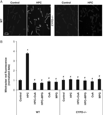 https://cdn.ncbi.nlm.nih.gov/pmc/blobs/4172/2936122/302e63641497/cvq11302.jpg