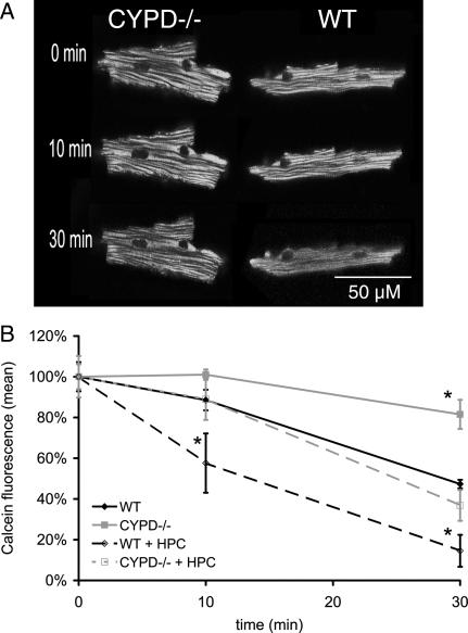 https://cdn.ncbi.nlm.nih.gov/pmc/blobs/4172/2936122/d4b7d6c998b4/cvq11301.jpg