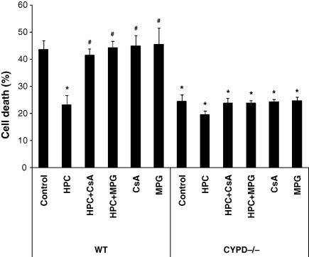 https://cdn.ncbi.nlm.nih.gov/pmc/blobs/4172/2936122/fa4a3072c60d/cvq11303.jpg