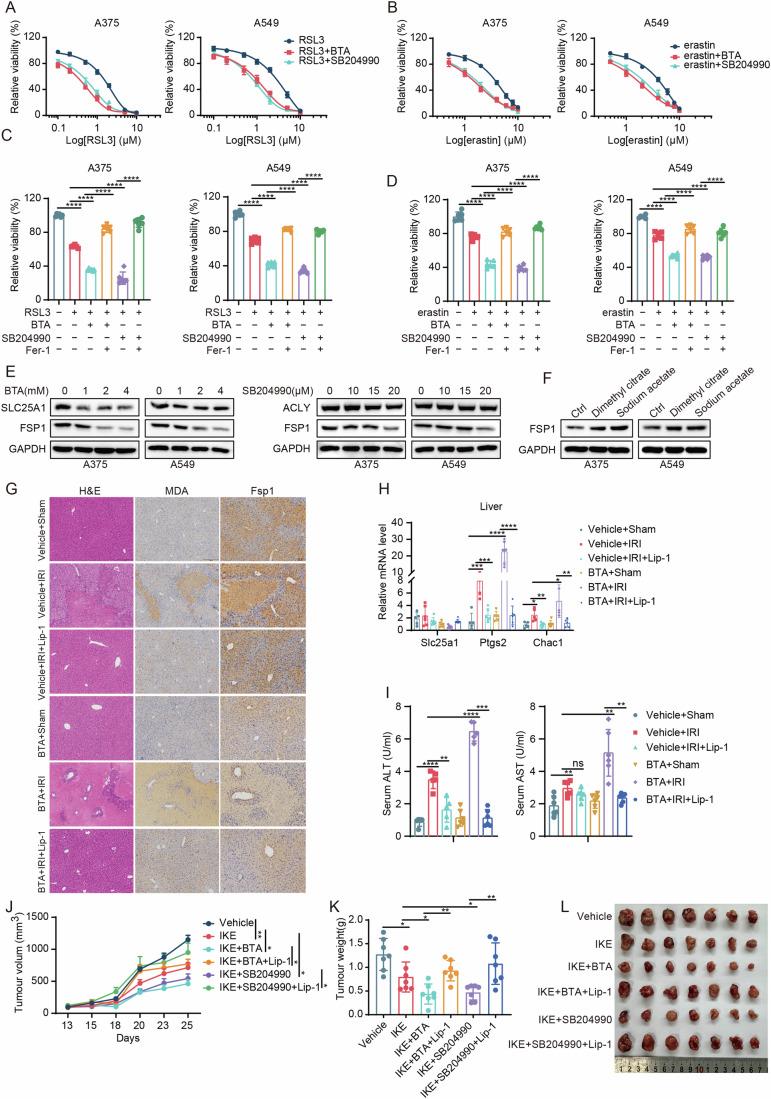 https://cdn.ncbi.nlm.nih.gov/pmc/blobs/4174/11914110/19c8ce36b12a/44318_2025_369_Fig6_HTML.jpg