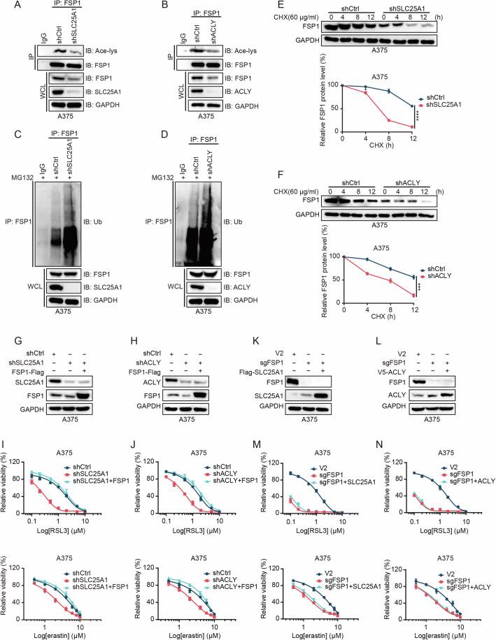https://cdn.ncbi.nlm.nih.gov/pmc/blobs/4174/11914110/22238f93ead2/44318_2025_369_Fig5_HTML.jpg
