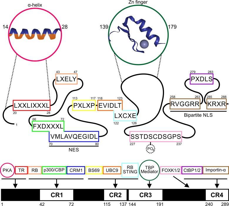 https://cdn.ncbi.nlm.nih.gov/pmc/blobs/4174/5930299/b005f6dbc536/mbo0031838670002.jpg