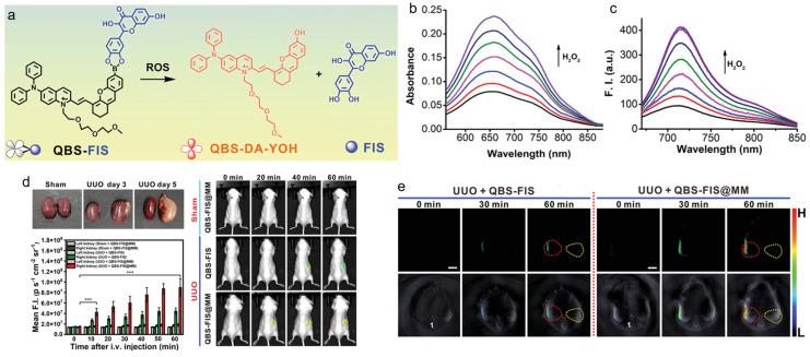 https://cdn.ncbi.nlm.nih.gov/pmc/blobs/4175/9406055/8703506b7976/biosensors-12-00646-g006.jpg