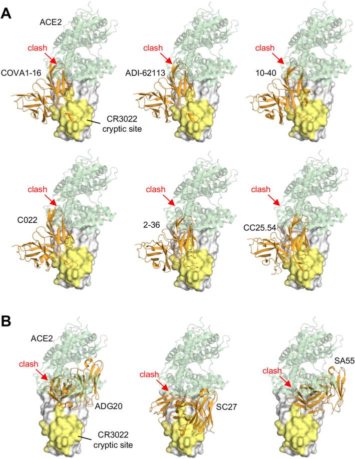 https://cdn.ncbi.nlm.nih.gov/pmc/blobs/4177/11727448/0208d0f361d4/IMR-329-0-g007.jpg