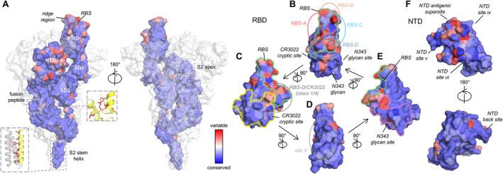 https://cdn.ncbi.nlm.nih.gov/pmc/blobs/4177/11727448/332a9f89c078/IMR-329-0-g004.jpg