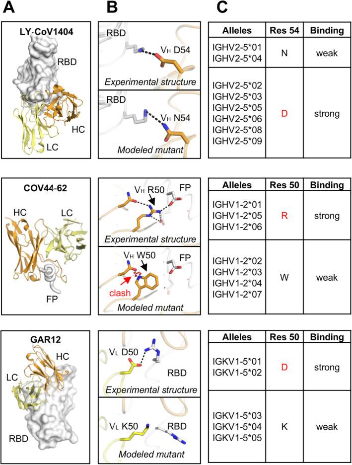 https://cdn.ncbi.nlm.nih.gov/pmc/blobs/4177/11727448/3acfb84e54cc/IMR-329-0-g001.jpg