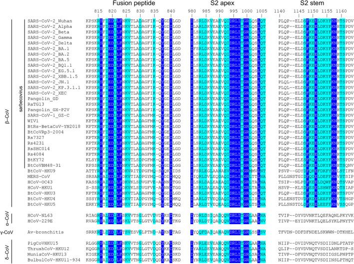 https://cdn.ncbi.nlm.nih.gov/pmc/blobs/4177/11727448/837a1de3074f/IMR-329-0-g008.jpg