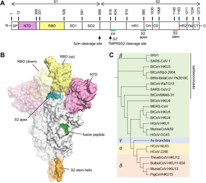 https://cdn.ncbi.nlm.nih.gov/pmc/blobs/4177/11727448/c5f6a52dbb45/IMR-329-0-g002.jpg