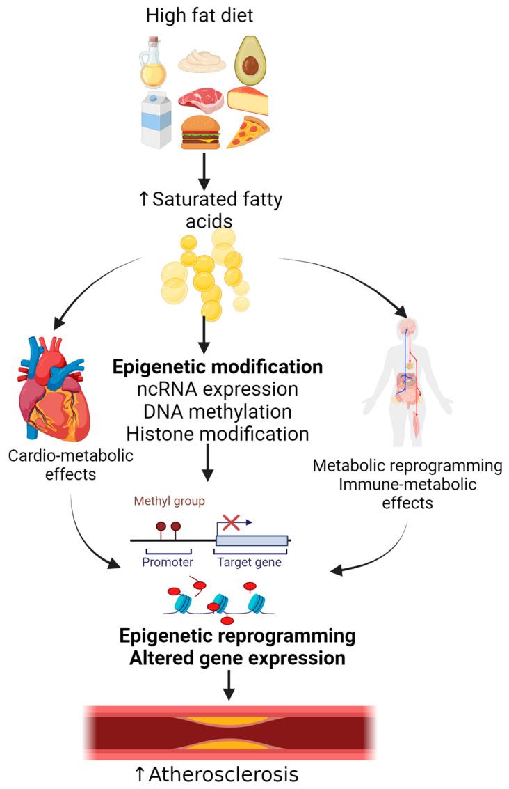 https://cdn.ncbi.nlm.nih.gov/pmc/blobs/417b/11722563/33422d44a0ed/nutrients-17-00127-g002.jpg