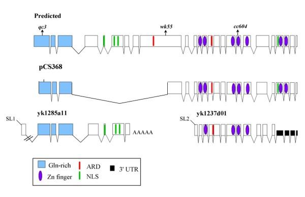 https://cdn.ncbi.nlm.nih.gov/pmc/blobs/417c/2904332/b260d1978d98/1471-2199-11-46-1.jpg