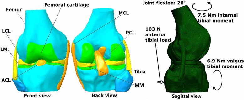 https://cdn.ncbi.nlm.nih.gov/pmc/blobs/417e/7819500/b674b992840b/fbioe-08-00173-g001.jpg