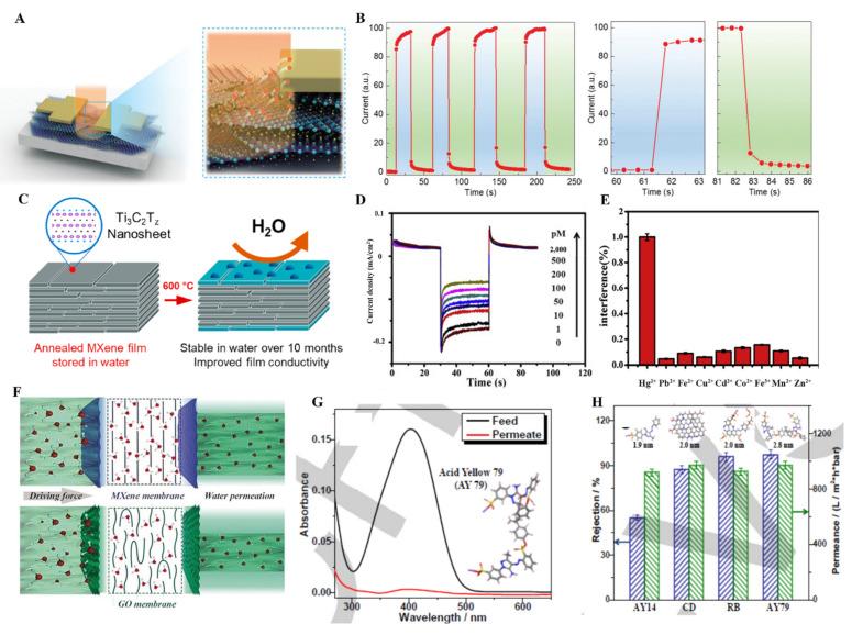 https://cdn.ncbi.nlm.nih.gov/pmc/blobs/4183/9370612/231be6355320/molecules-27-04925-g015.jpg