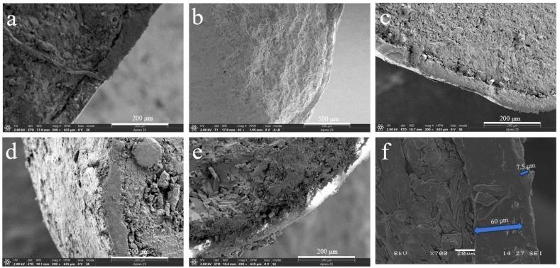https://cdn.ncbi.nlm.nih.gov/pmc/blobs/4184/11991335/b144118b548f/polymers-17-00838-g001.jpg