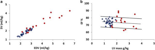 https://cdn.ncbi.nlm.nih.gov/pmc/blobs/4185/4145259/9b91675e30d4/s12968-014-0054-4-3.jpg