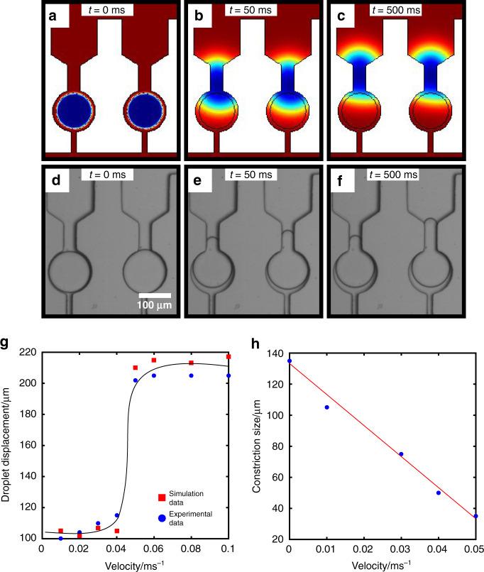https://cdn.ncbi.nlm.nih.gov/pmc/blobs/4186/8481565/c678139ebb87/41378_2021_303_Fig2_HTML.jpg