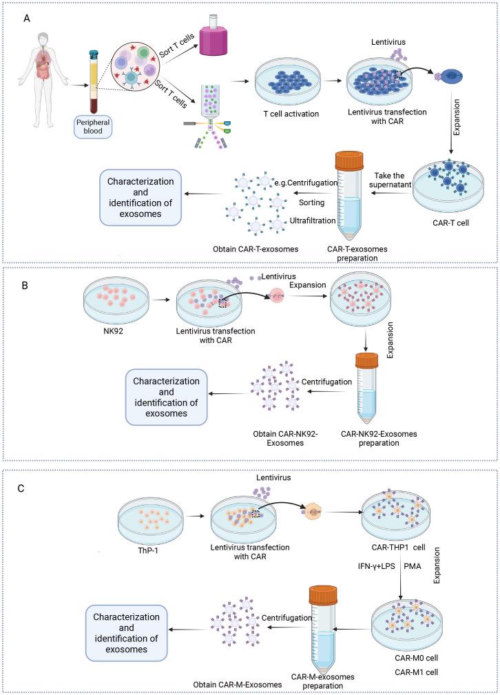 https://cdn.ncbi.nlm.nih.gov/pmc/blobs/4187/12401991/58e5d779bdaf/fimmu-16-1655095-g002.jpg