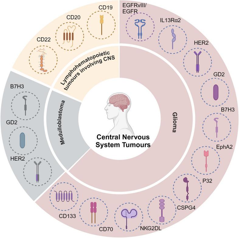 https://cdn.ncbi.nlm.nih.gov/pmc/blobs/4188/11539471/106faeddb99d/40364_2024_679_Fig3_HTML.jpg