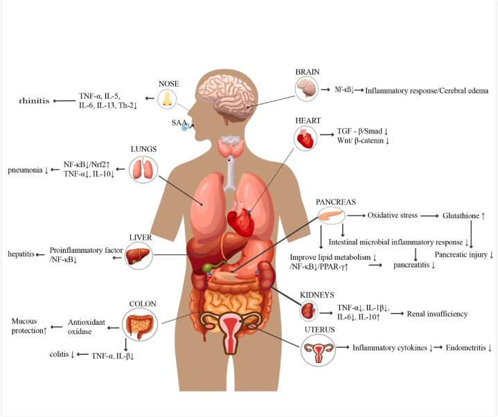 https://cdn.ncbi.nlm.nih.gov/pmc/blobs/4188/11617869/00964e613c09/gr1.jpg