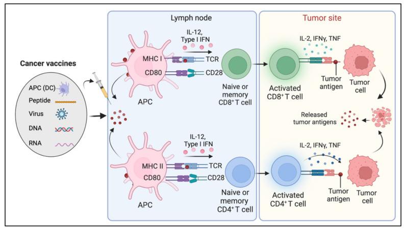 https://cdn.ncbi.nlm.nih.gov/pmc/blobs/4188/9498256/4eb0e8b2b1ef/diseases-10-00060-g006.jpg