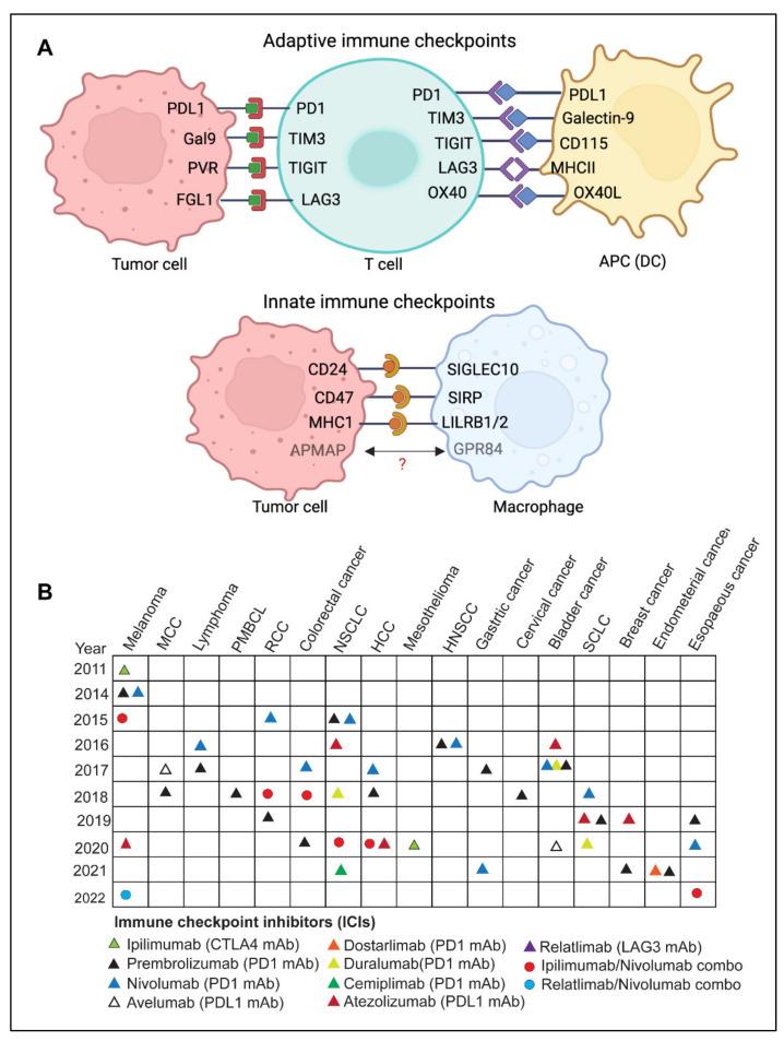 https://cdn.ncbi.nlm.nih.gov/pmc/blobs/4188/9498256/aa50317c3944/diseases-10-00060-g002.jpg