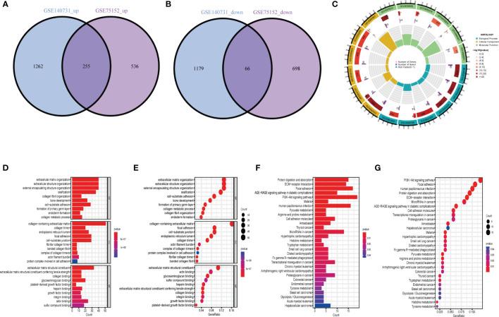 https://cdn.ncbi.nlm.nih.gov/pmc/blobs/4189/10500125/8366ed295a21/fimmu-14-1230027-g002.jpg