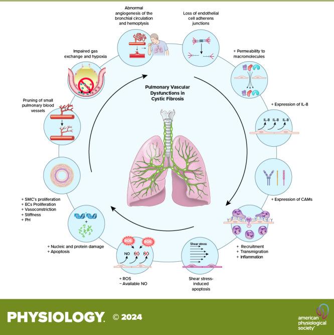 https://cdn.ncbi.nlm.nih.gov/pmc/blobs/418f/11368519/030398539f71/y-00024-2023r01.jpg