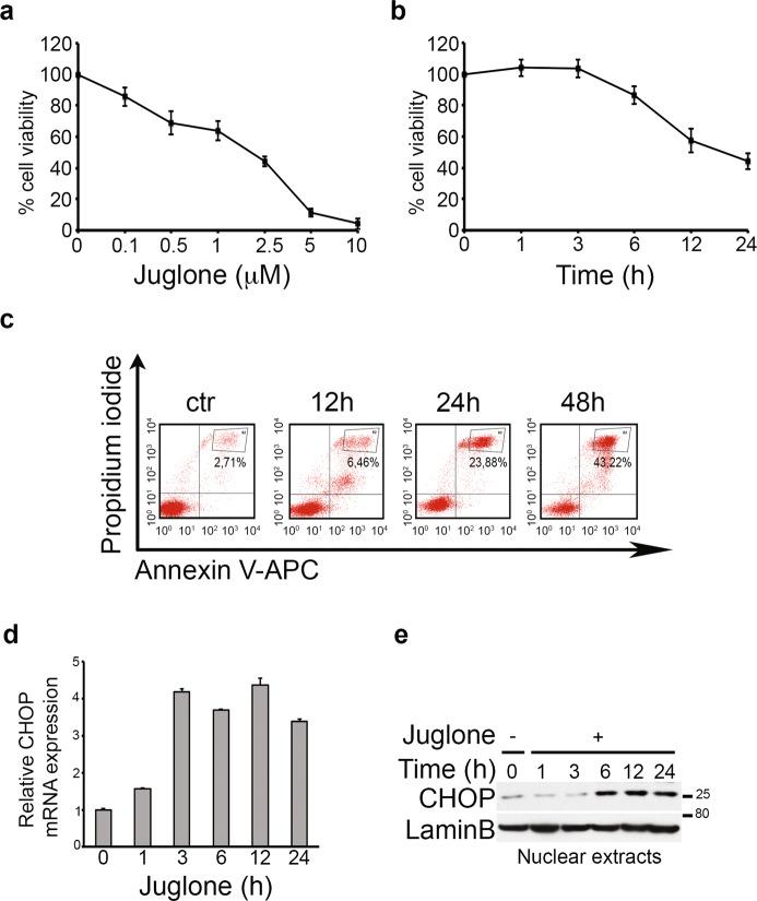 https://cdn.ncbi.nlm.nih.gov/pmc/blobs/418f/7569087/58c52b0175e5/41389_2020_279_Fig4_HTML.jpg