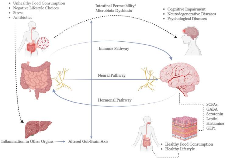 https://cdn.ncbi.nlm.nih.gov/pmc/blobs/4192/12025631/85d35d200dc0/brainsci-15-00400-g001.jpg