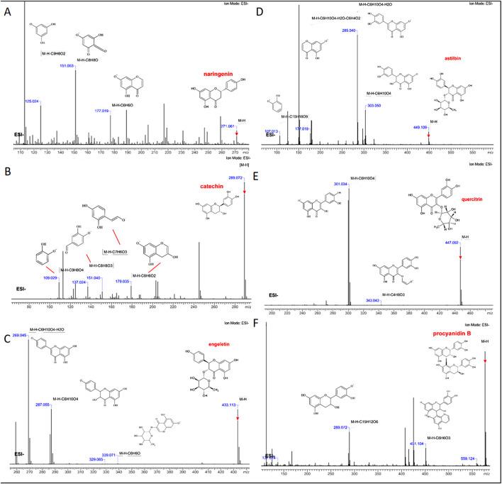 https://cdn.ncbi.nlm.nih.gov/pmc/blobs/4192/12055767/23e954d9032e/fphar-16-1519054-g004.jpg