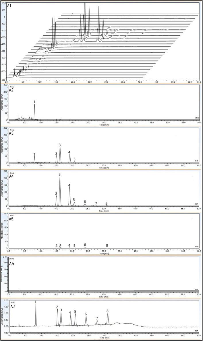 https://cdn.ncbi.nlm.nih.gov/pmc/blobs/4192/12055767/b07120de0fbf/fphar-16-1519054-g002.jpg